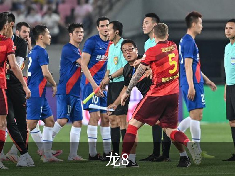 龙8介绍